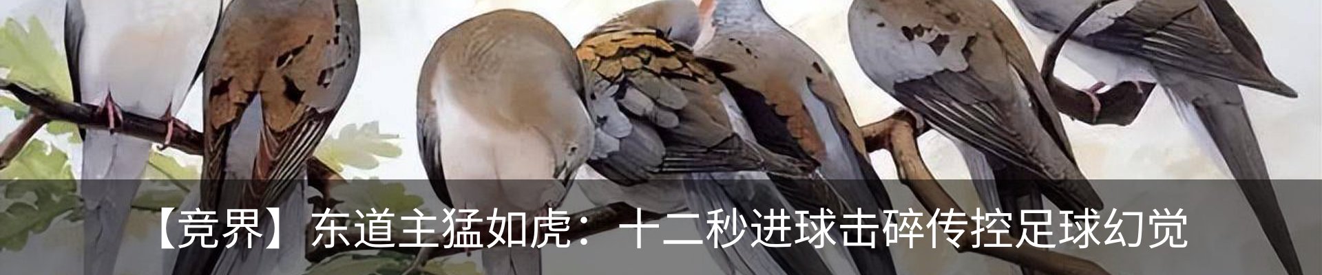 资讯动态