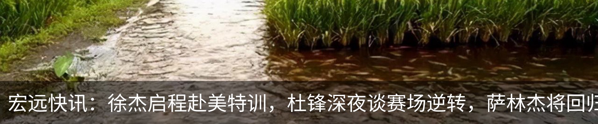 资讯动态