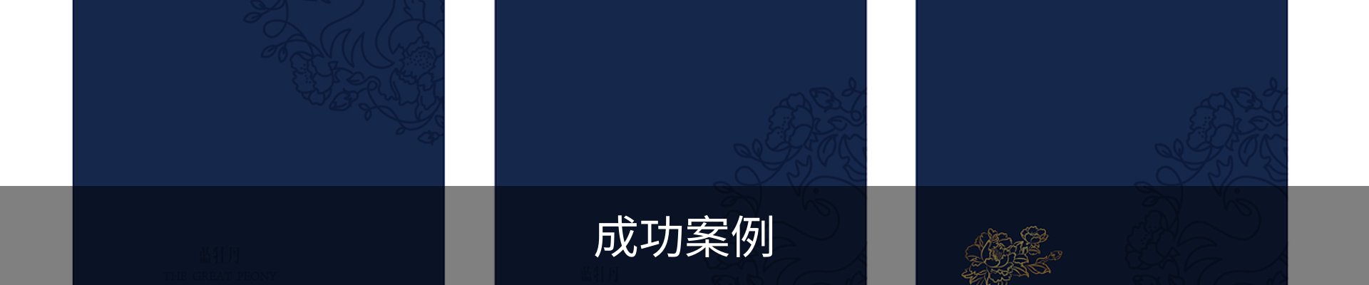 成功案例